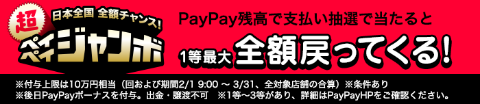 Iphone Se 第3世代 を購入 オンラインストア Y Mobile ワイモバイル